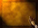 Jpeg Free Projector Background - Framed
