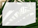 Jpeg Free Projector Background - Framed